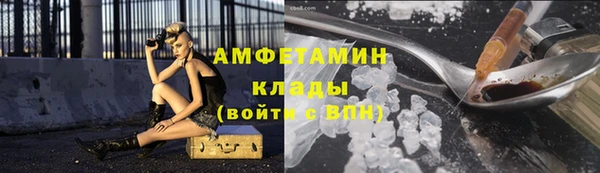 стаф Кодинск