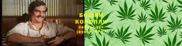 стаф Кодинск