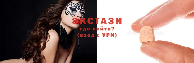 стаф Кодинск