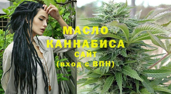 стаф Кодинск