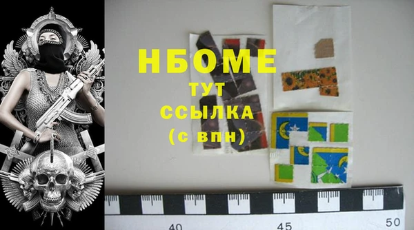 стаф Кодинск